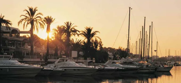 Illustrative photograph, not the development: yachts and masts in a marina at sunset, with palm trees silhouetted against the sky